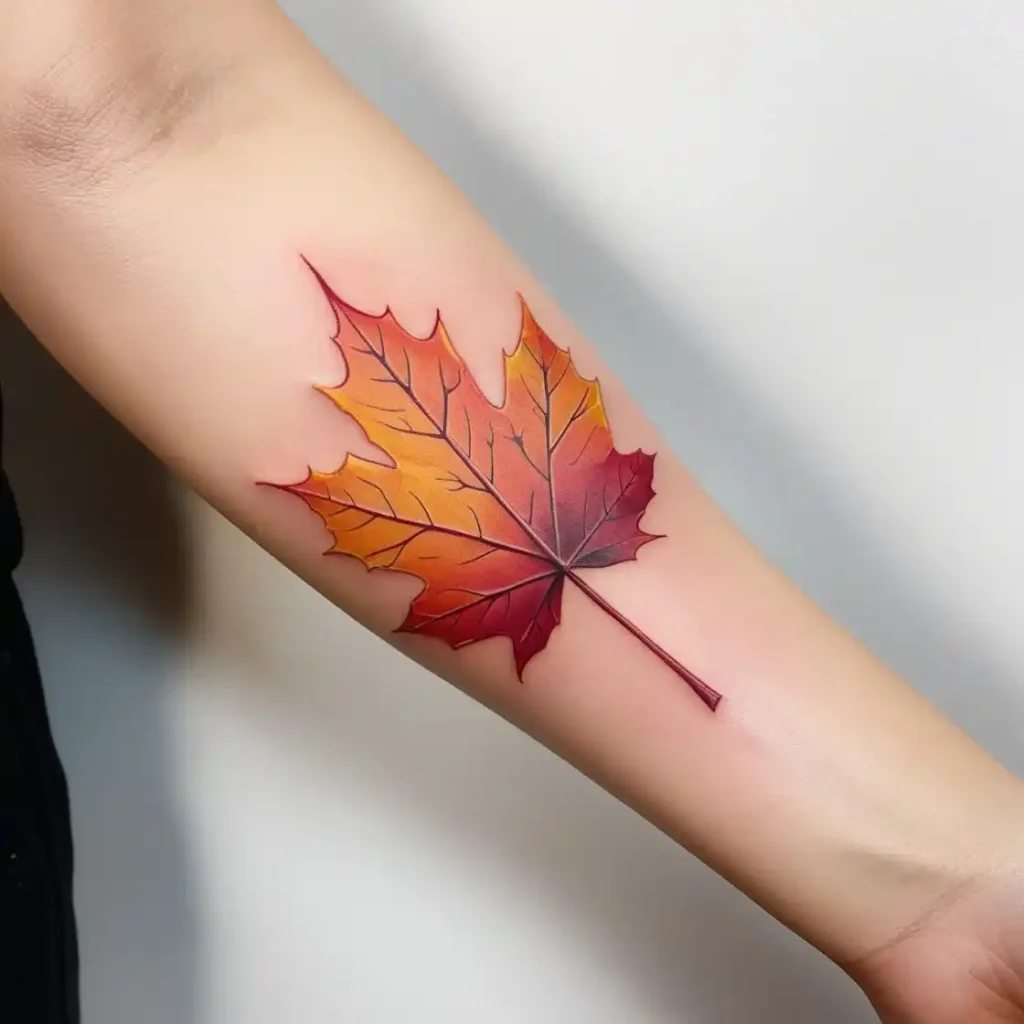 Maple Leaf in Autumn Colors