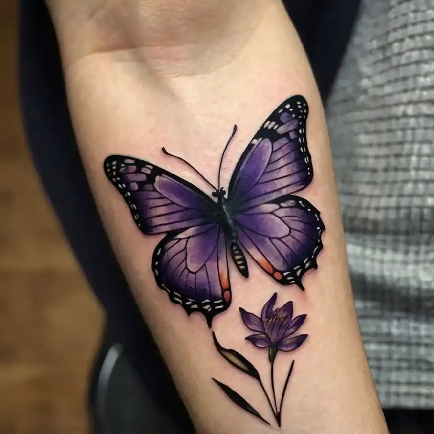 Violet with Butterfly