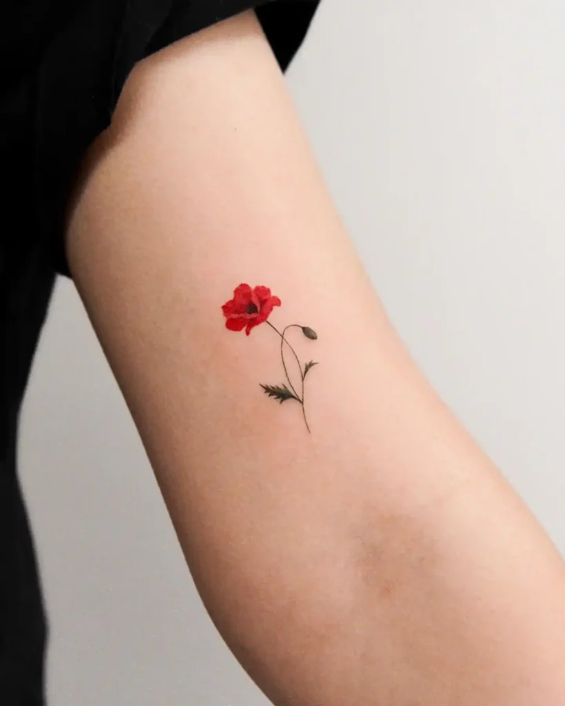 Micro Color Realistic Poppy Tattoo