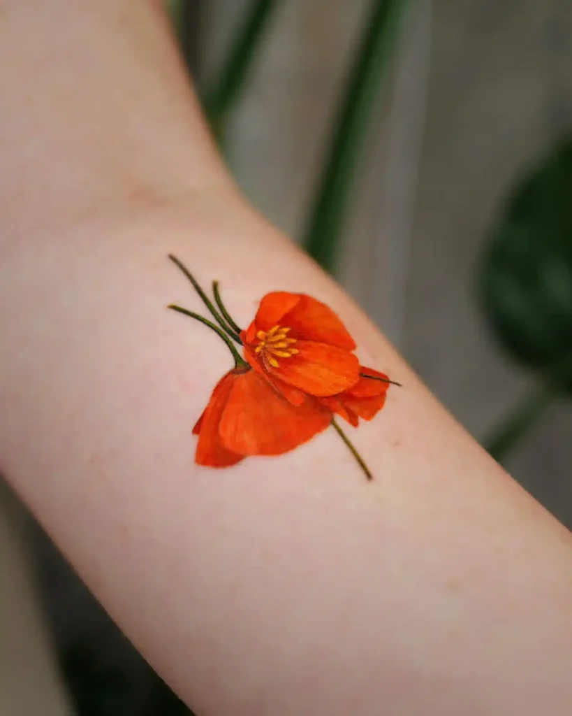 Micro Realistic Colorful Poppy Tattoo