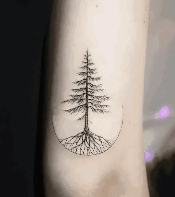 Pine Tree Above The Elbow