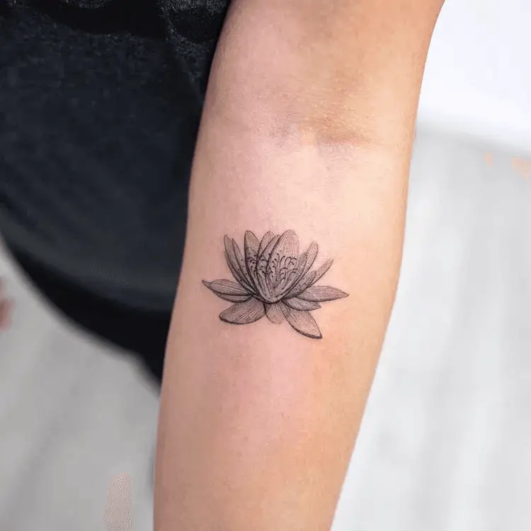 3D Lotus Flower
