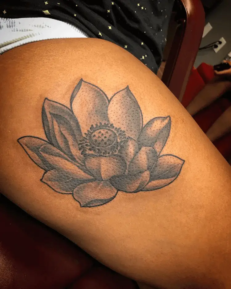 Bold-Lined Lotus Flower