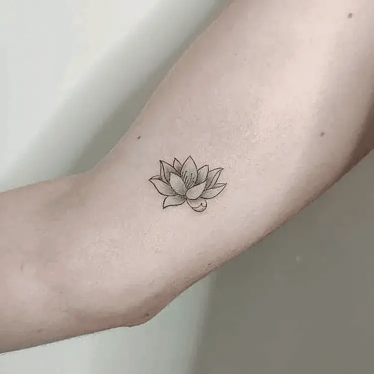 Realistic Lotus Flower