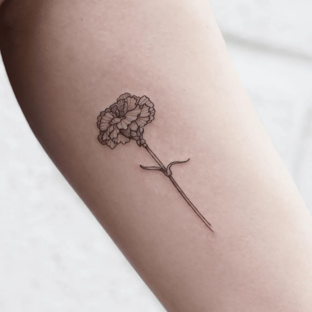 Fineline Tattoo of Carnation on Forearm