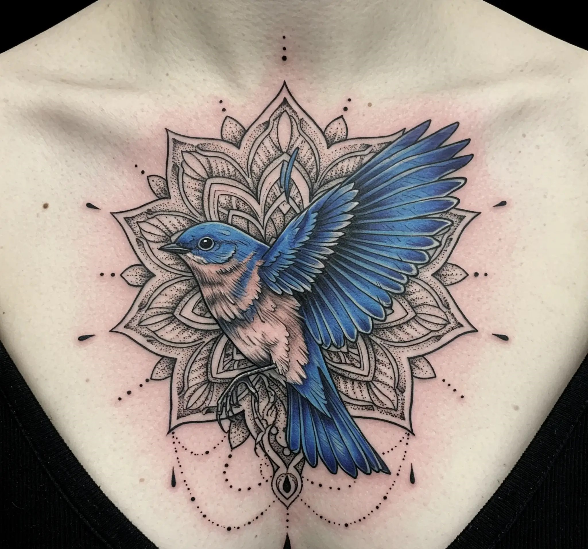 Blue Bird Tattoo