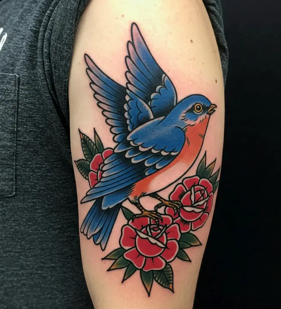 Traditional American Bluebird