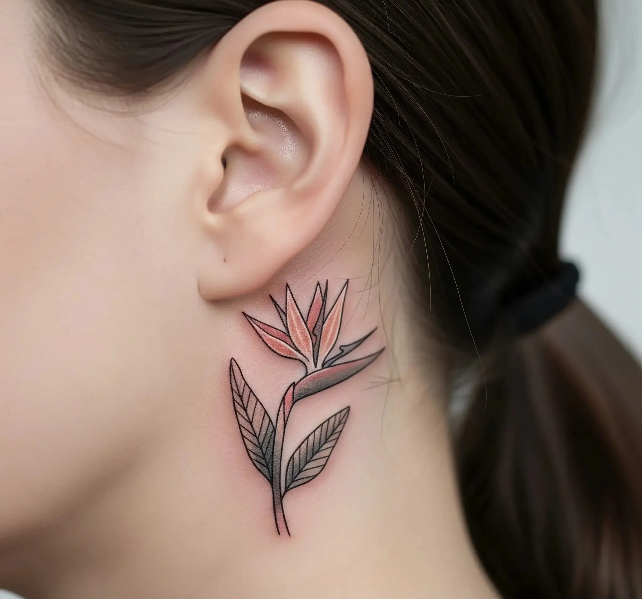 Bird of Paradise Behind the Ear