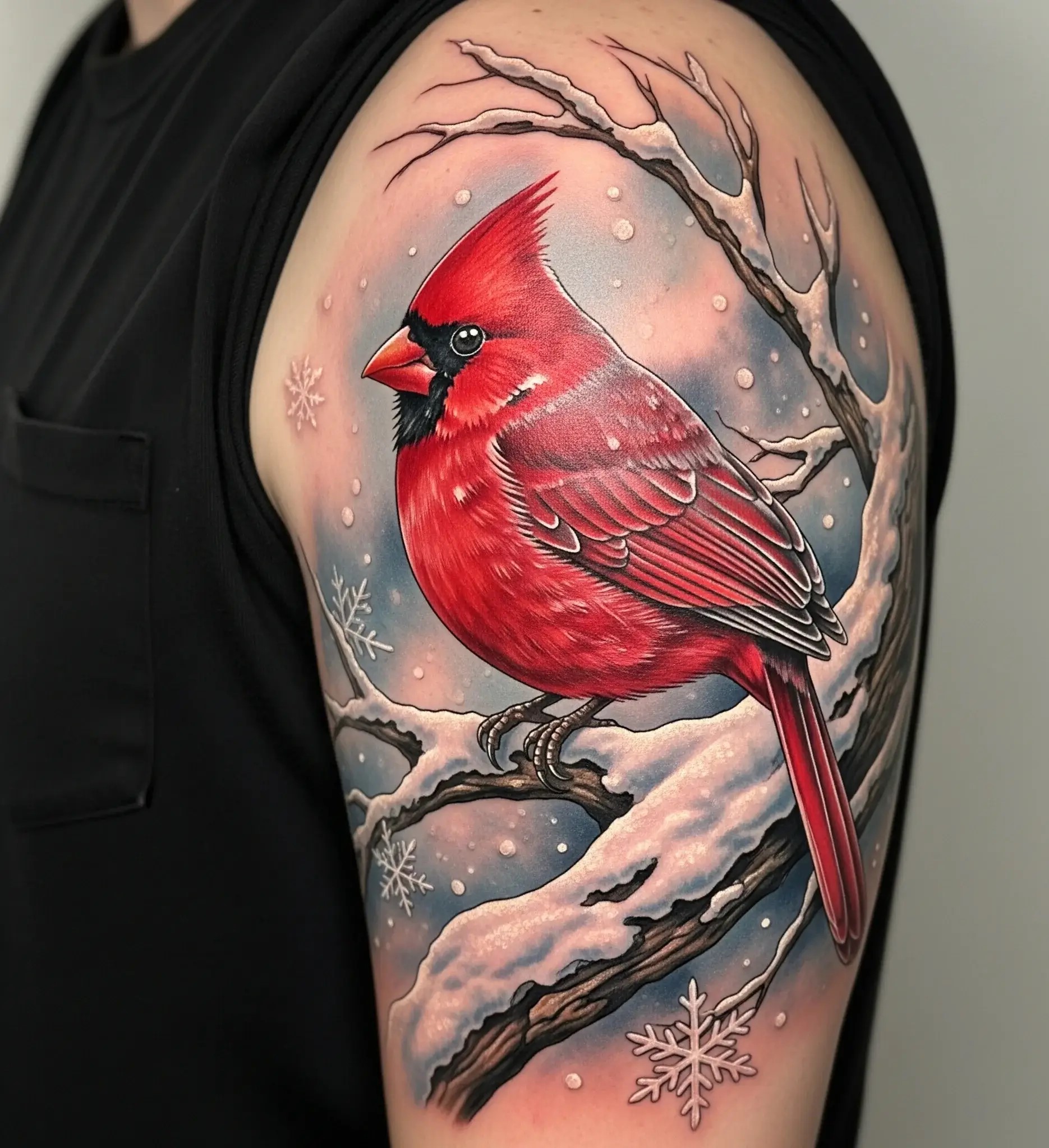 Cardinal and Snow