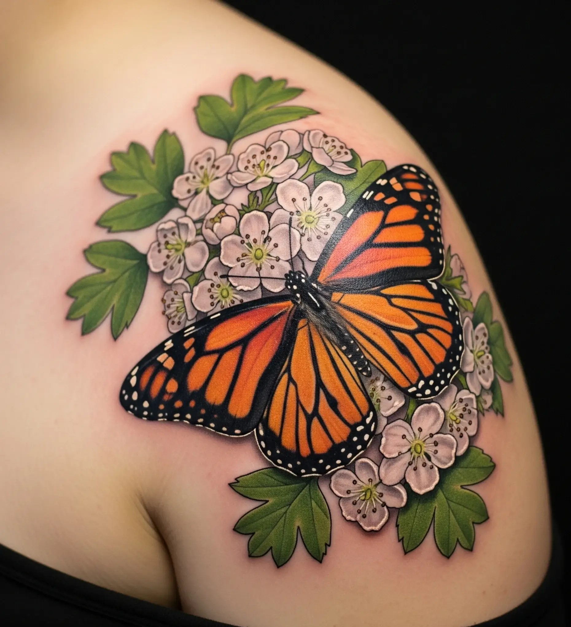 Hawthorne with Butterfly