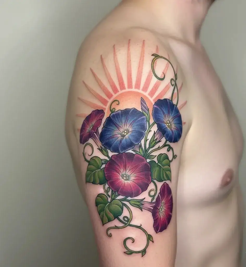 Morning Glory With a Rising Sun