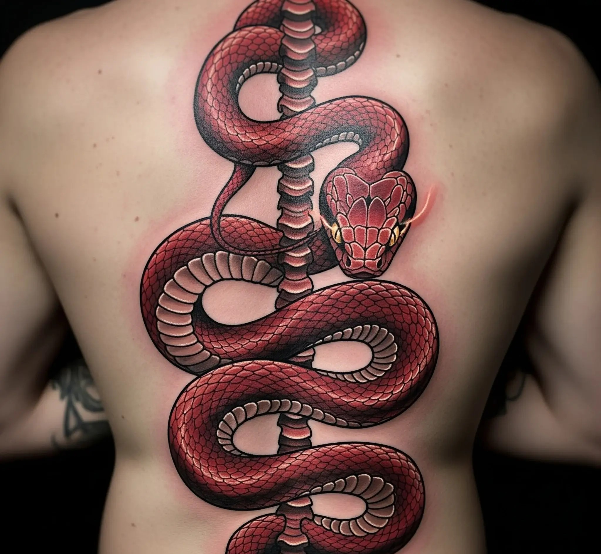 Red Snake Wrapping the Spine