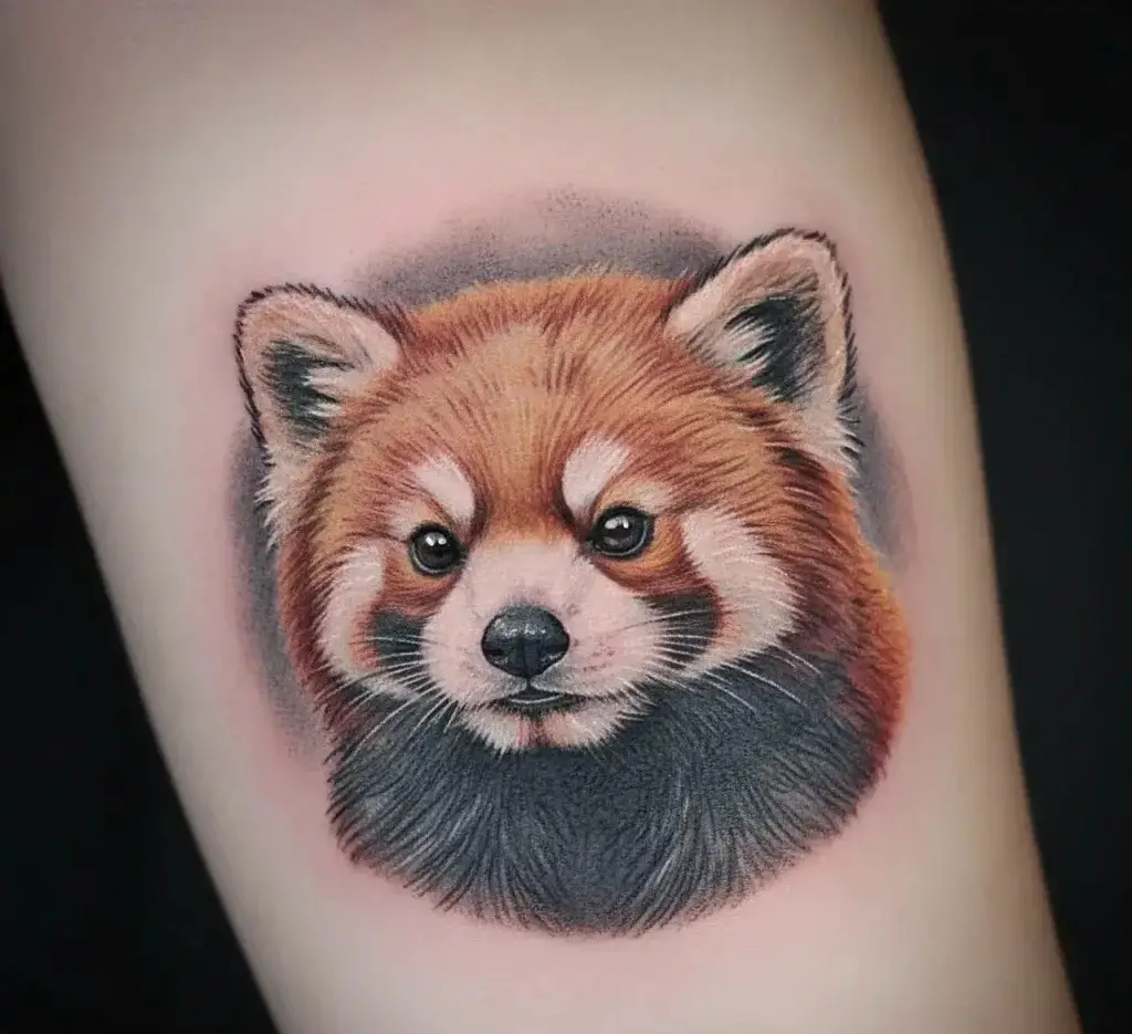 Mini Animal Portrait