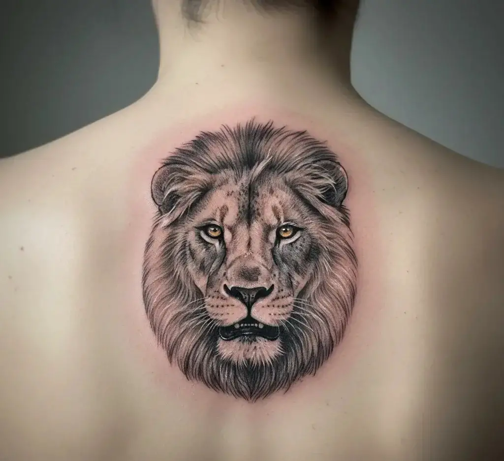Mini Lion Portrait
