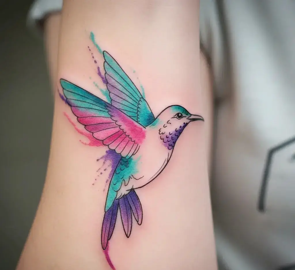 Outline Hummingbird with Color Wings