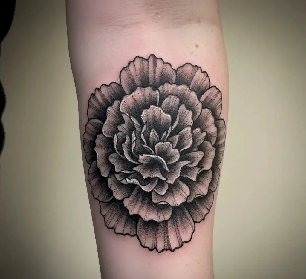 Black and Grey Carnation Tattoo